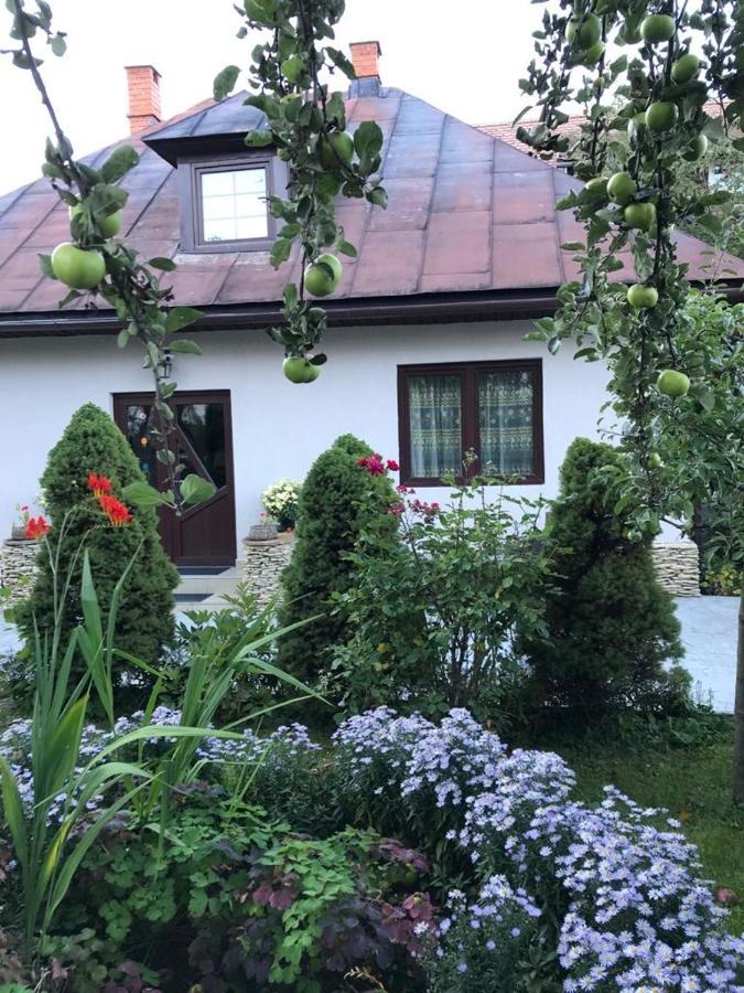 Villa Casa Maria à Bran  Extérieur photo